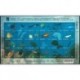 1998 Brasile EXPO '98 Anno dell'Oceano - tematica pesci