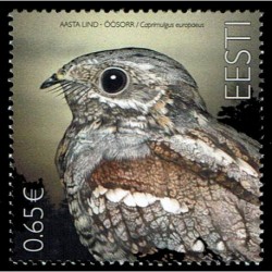 2019 Estonia uccello dell'anno European Nightjar