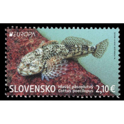 2024 Slovacchia postEurop flora e fauna subacquea