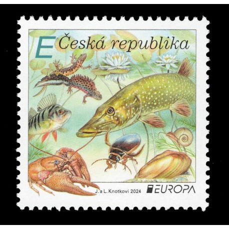 2024 Rep. Ceca postEurop flora e fauna subacquea