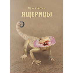 2026 Russia - Fauna lucertole della Russia - folder