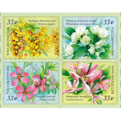 2026 Russia - Flora arbusti ornamentali - serie