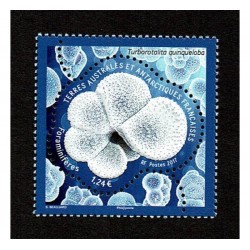2017 TAAF Foraminiferi unusual stamp MNH/**
