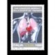 2000 congresso società dei trapianti MNH/**